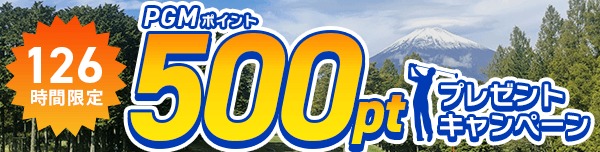 126時間限定 500ポイントGET！キャンペーン(2026年4月開催)